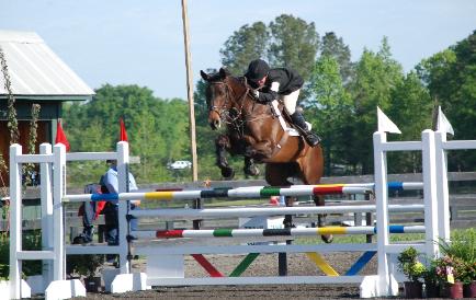 Sarah Cousins Showjumping